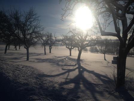 Villa Sukka Winterlingen Dış mekan fotoğraf