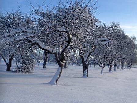 Villa Sukka Winterlingen Dış mekan fotoğraf