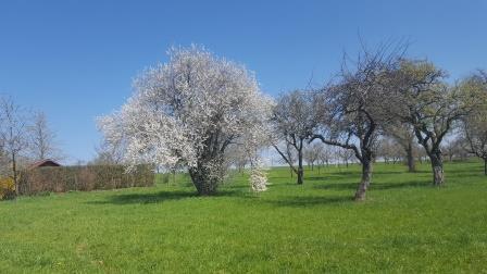 Villa Sukka Winterlingen Dış mekan fotoğraf